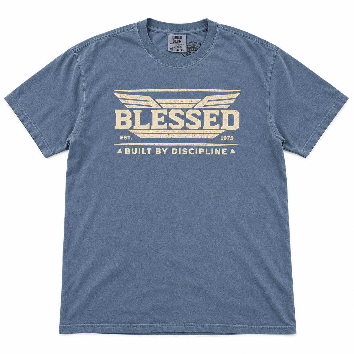 AVY Strength Co. Blessed Heavyweight Tee | Blue Jean