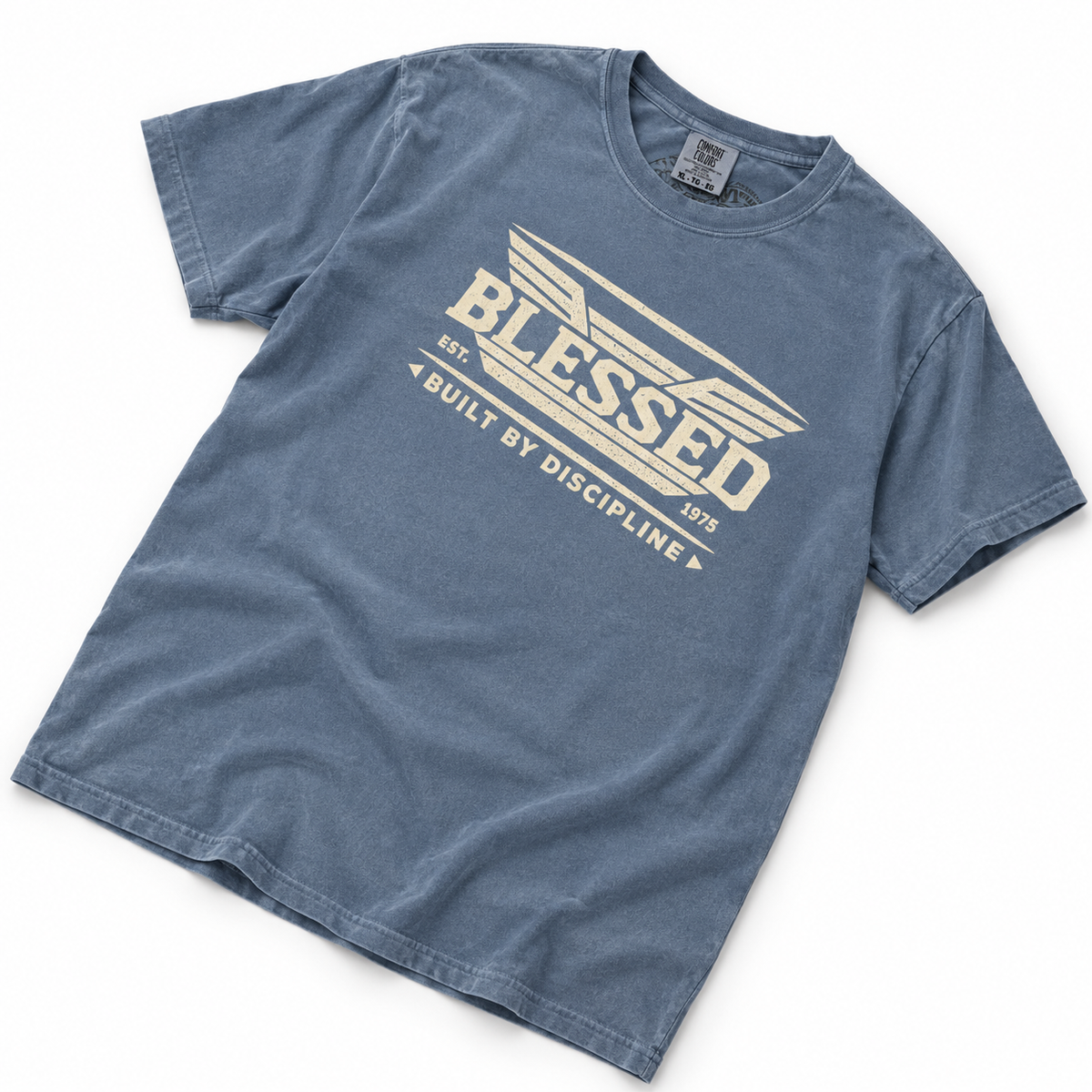 AVY Strength Co. Blessed Heavyweight Tee | Blue Jean